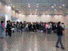 flower show2004 167.jpg
